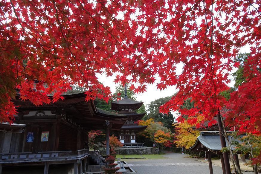 龍應山 西明寺2