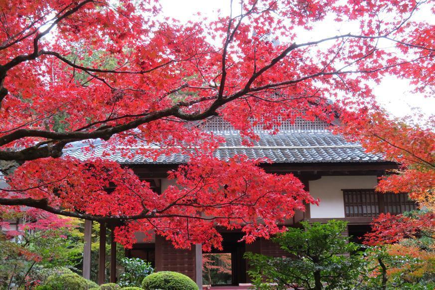 松峰山 金剛輪寺3