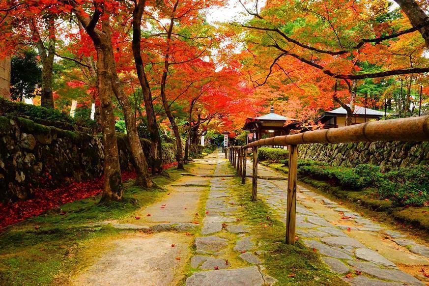 松峰山 金剛輪寺4