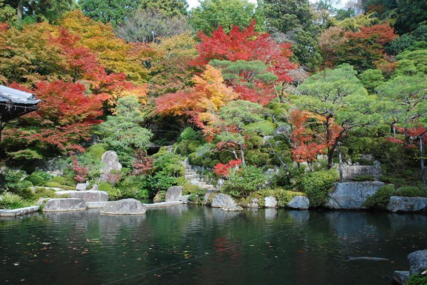 釈迦山 百濟寺