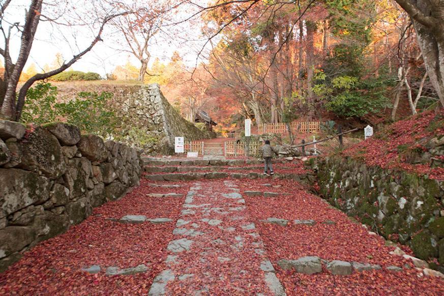 釈迦山 百濟寺2