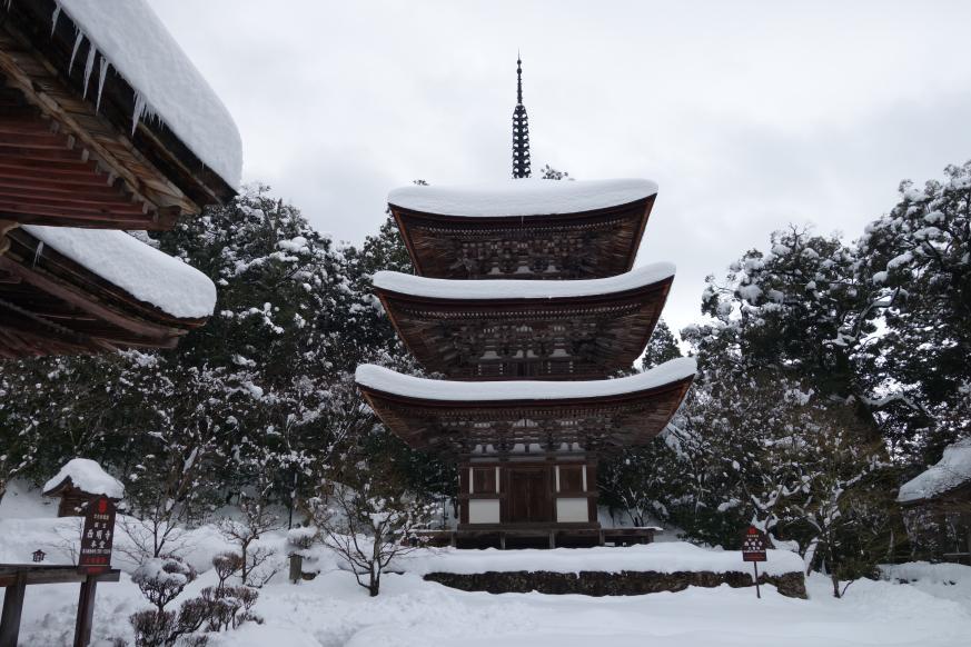 龍應山 西明寺1